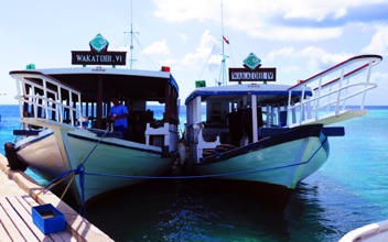 Dive Boats
